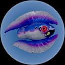 Feather Fish