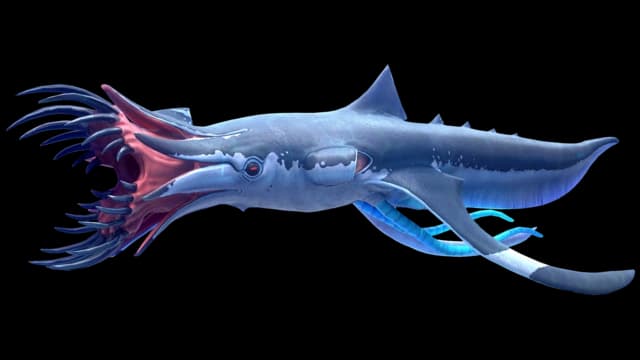 Squidshark
