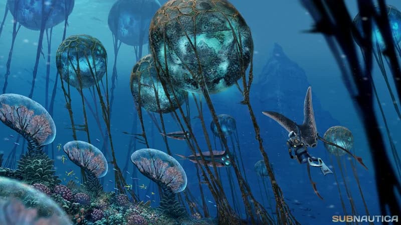 Grand Reef