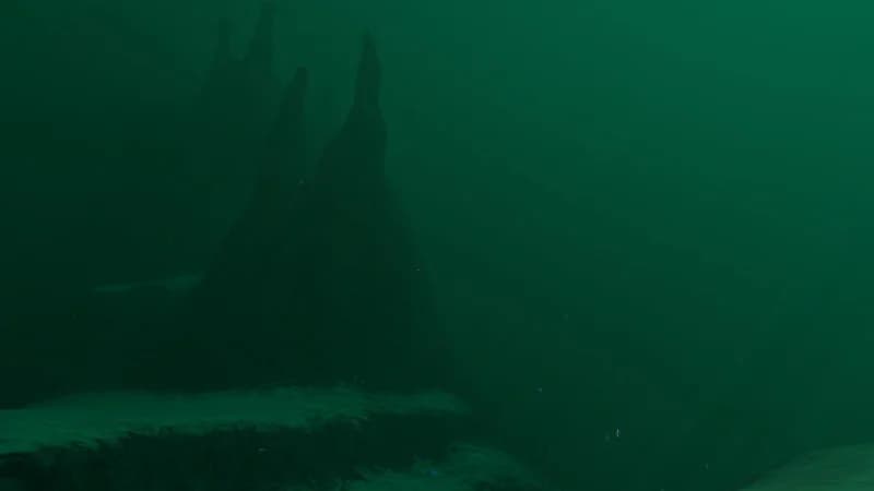 Sparse Reef