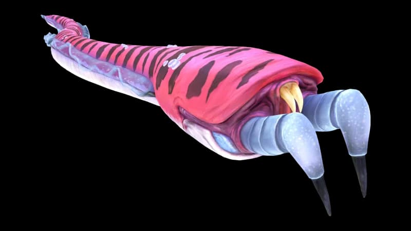 Crabsnake