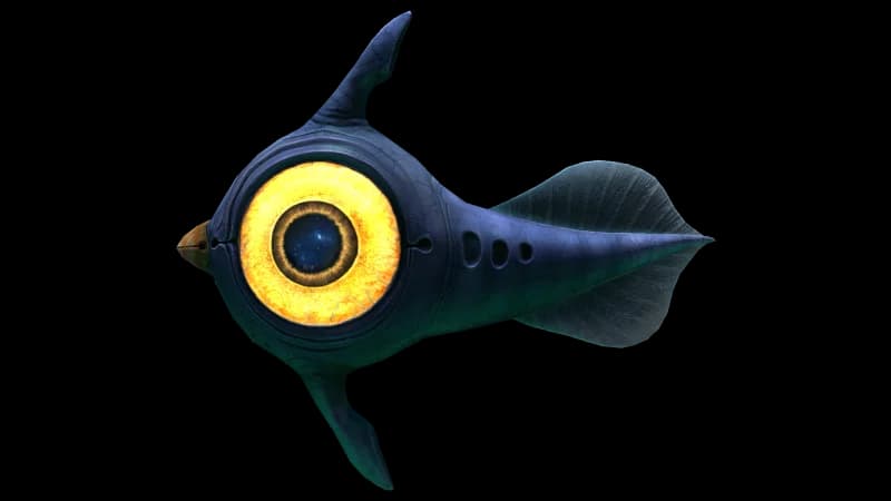 Peeper