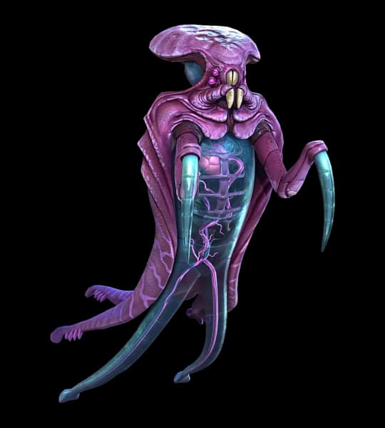 Warper